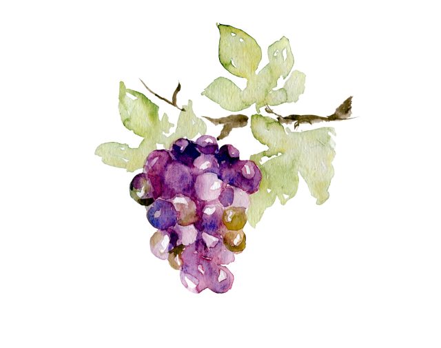 the drinks business is now taking final entries for The db Autumn Tasting 2025, an international blind tasting open to wines of every style, varietal and origin.