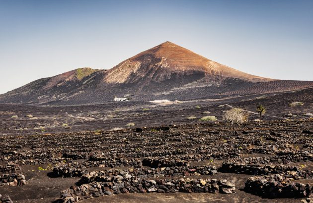 From ash to glass: volcanic wine is exploding in popularity