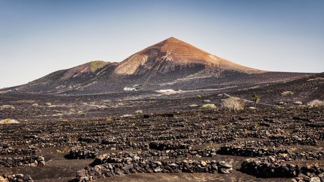 Volcanic wines are surging in popularity thanks to their striking story, distinctive flavour profile and new certification standards. Here's why sommeliers, retailers and wine lovers can't stop talking about them. Kathleen Willcox reports.
