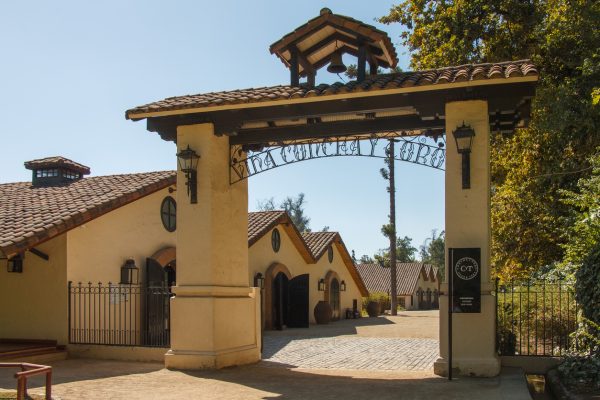 Concha y Toro offsets US decline with premium wines and beer growth