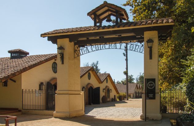 Concha y Toro offsets US decline with premium wines and beer growth