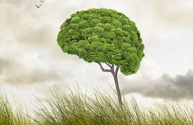 ‘B Corp isn’t a badge, it’s a mindset’, says English winery