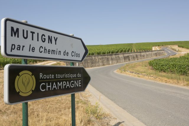 Champagne’s 2025 harvest has officially begun earlier than expected, with producers hailing the crop’s health and ripeness. Despite positive vineyard conditions, the region faces economic pressures, reduced yield limits and continued labour scrutiny.