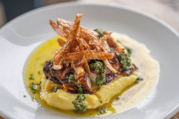 ‘They’re not going anywhere’: Octopi surge shakes up restaurant menus