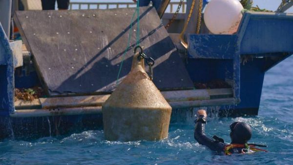 Western Australia’s ‘underwater winery’ hauls latest batch from the Southern Ocean