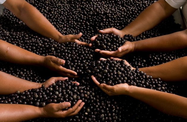 Amazonian wine named as official drink of COP30