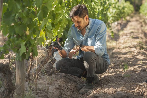 How the lines between ‘new’ and ‘old’ worlds are blurring in Mendoza