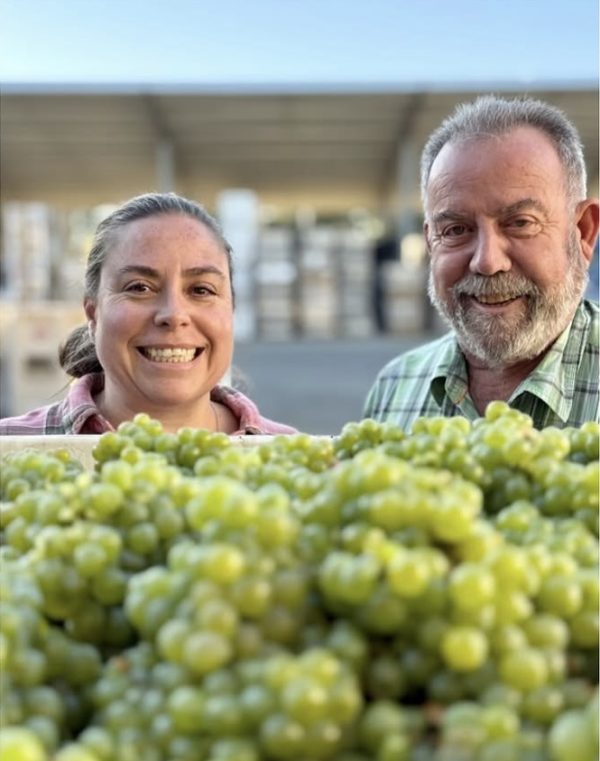 Angelina Mondavi becomes head winemaker at Charles Krug