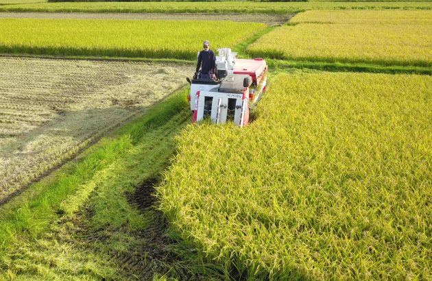 Sake Day offers a chance to reflect on Japan’s national drink