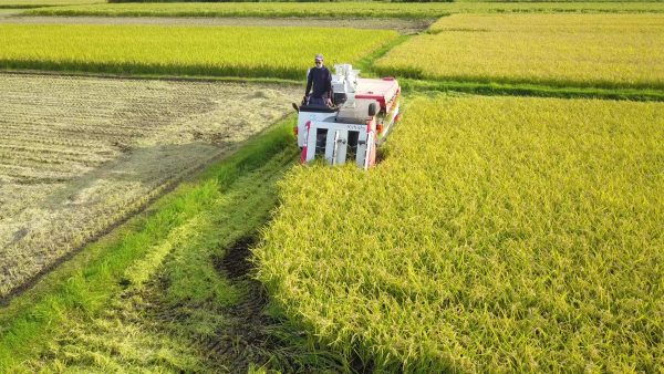 Sake Day offers a chance to reflect on Japan’s national drink