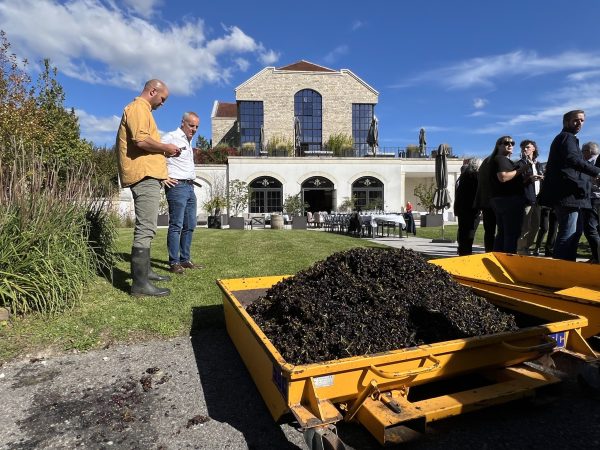 Exton Park premiumises to buffer ‘turbulent’ English fizz market