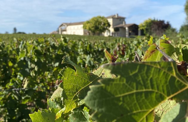 Will Bordeaux feel the heat over irrigation rules?