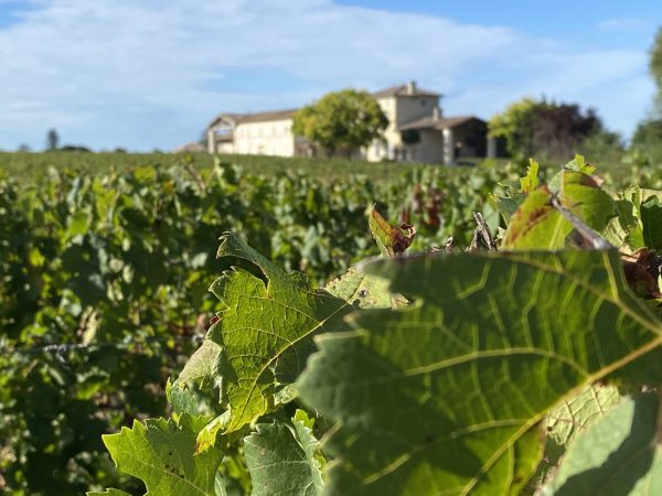 Analysis: Château Lafleur, climate change and the future of the appellation system
