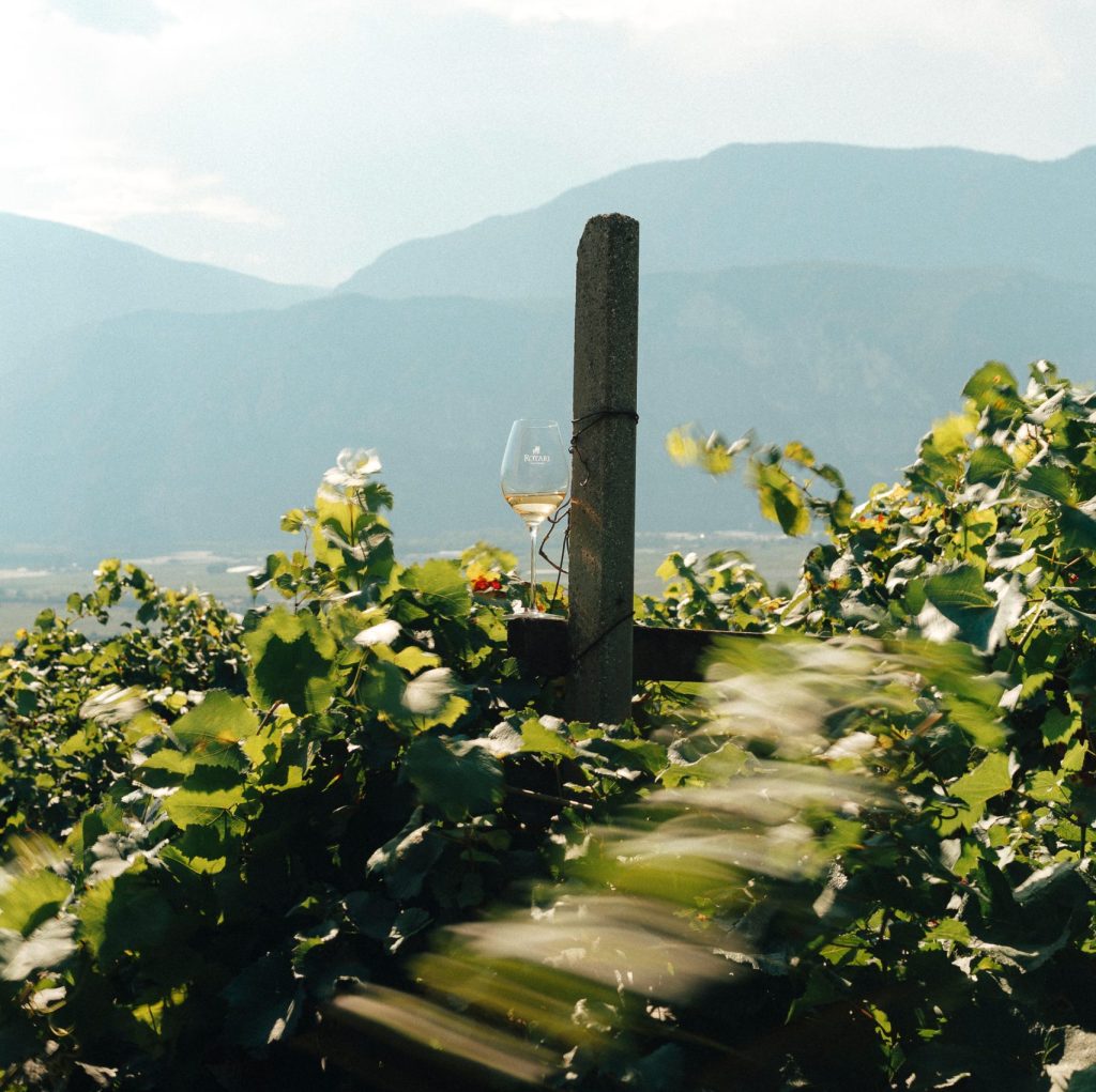 In the foreground, vine leaves blow in the wind around a post. Next to it sits a glass of sparkling wine. In the background, high, craggy mountains loom.