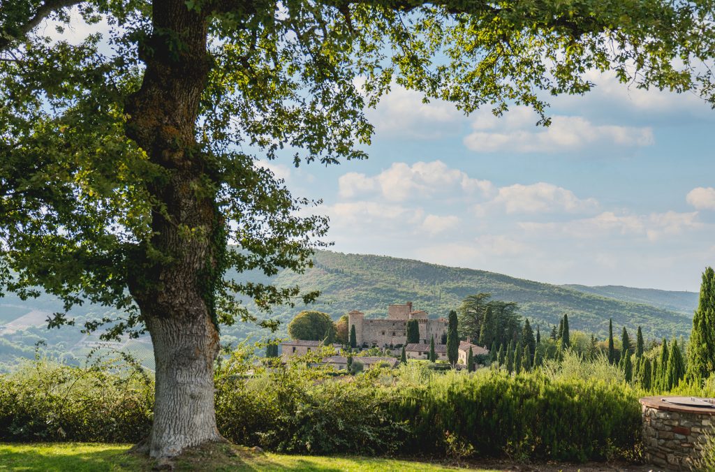 A large tree stands in the foreground. In the middle distance sits Castello di Meleto, a castle dating back to the 11th century. Behind it are rolling Tuscan hills.