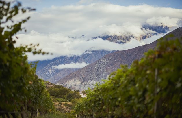 Peter Gago: ‘The learning curve in China has been very steep’