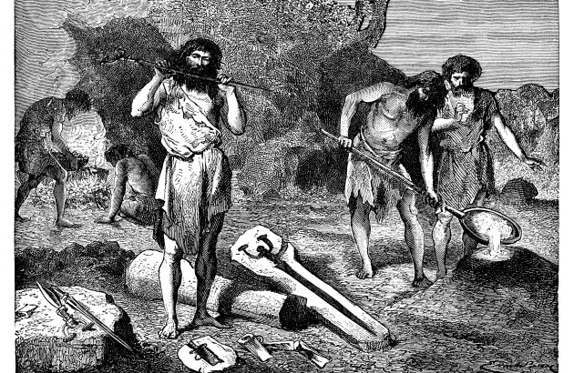 Ancient middle eastern farmers put wine before olives, study finds