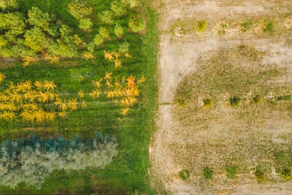 Wine world urged to face sustainability challenge in new book