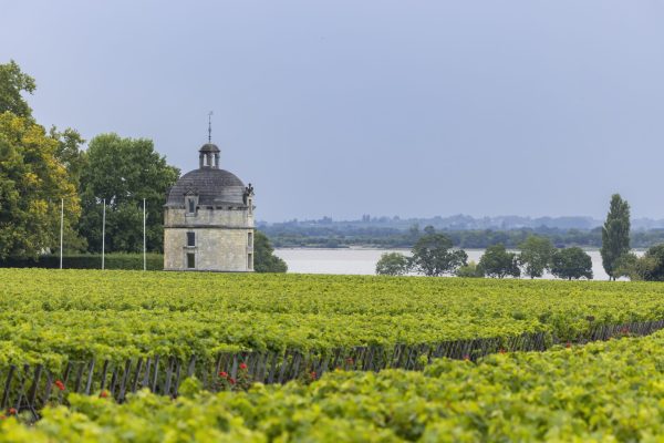 Château Latour re-releases 2012 vintage