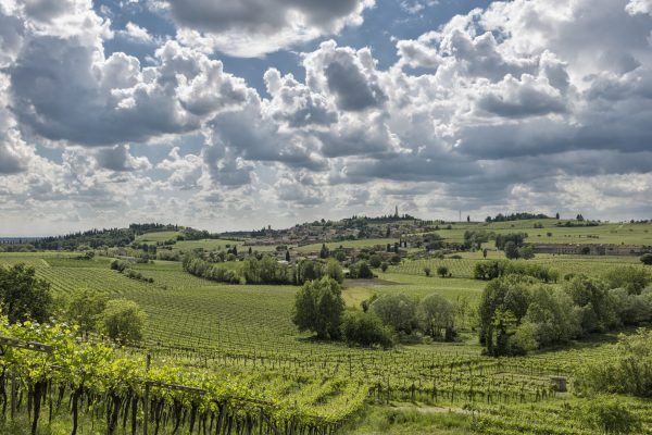 Custoza makes its case as Italy’s next great white