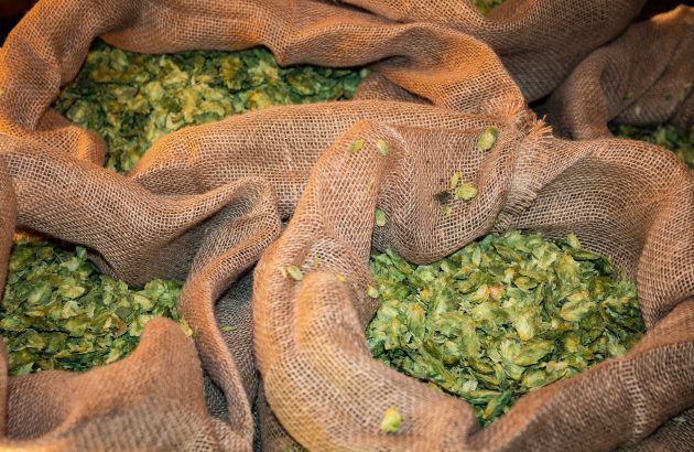 Lupulin Exchange and Yakima Chief Hops team up for European push