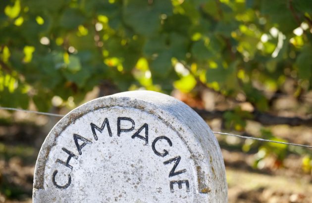 Moët employs historic plant cuttings and new PIWIS in climate change battle