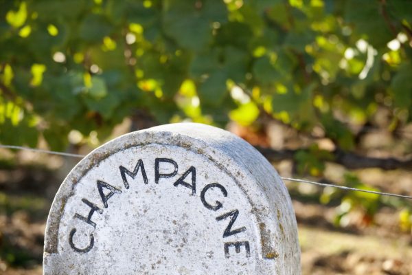 Moët employs historic plant cuttings and new PIWIS in climate change battle