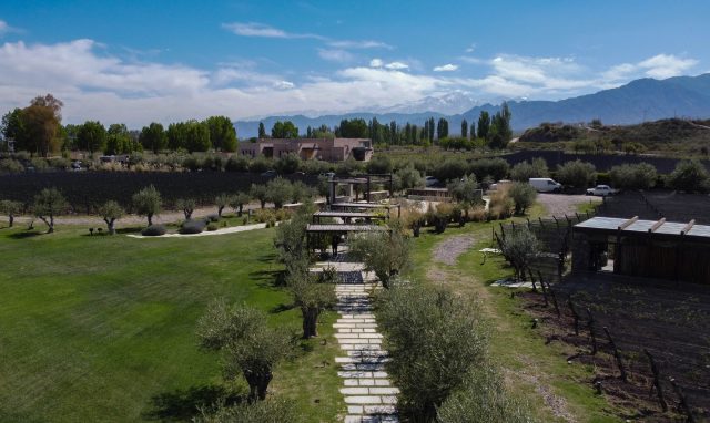 Vinexpo Explorer Mendoza 2025