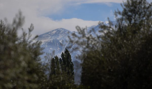 What does the future hold for Argentine wine?