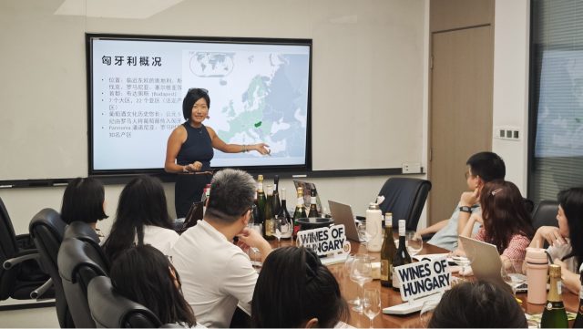 Wines of Hungary partners with WSET programme providers in China
