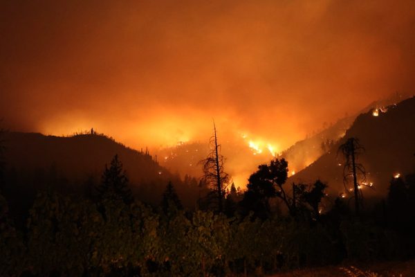 Litigation may be pending over Napa’s Pickett fire
