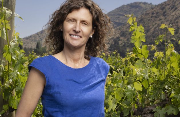 Changing of the guard: Viña Carmen makes pivotal change in the UK