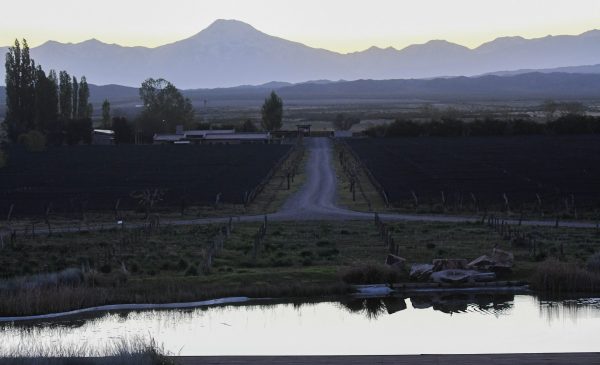 ‘Argentina is more than Malbec’: Global buyers rethink Mendoza at Vinexpo Explorer 2025