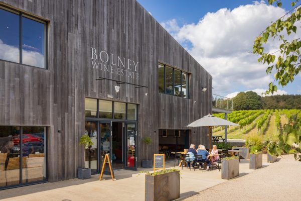 ‘We’re planning for the next 30 years’: James Davis MW on Bolney’s two-year vineyard transformation