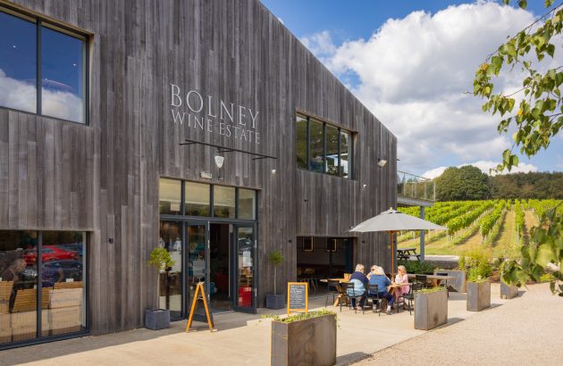 ‘We’re planning for the next 30 years’: James Davis MW on Bolney’s two-year vineyard transformation