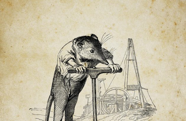 Everything you need to know about the current Champagne yield