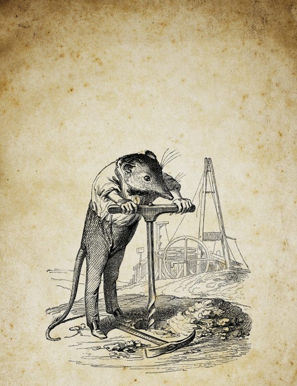 Everything you need to know about the current Champagne yield