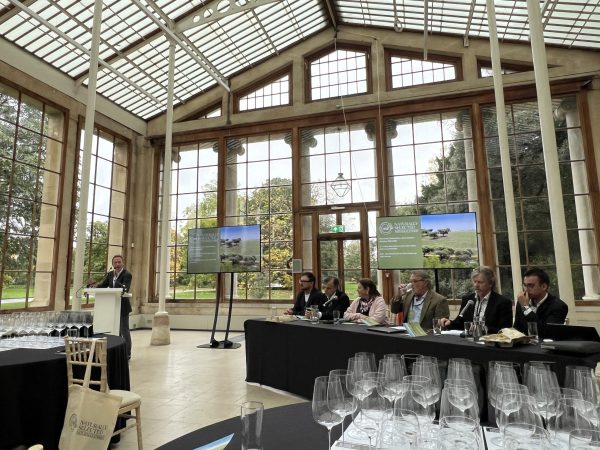 Alentejo aims for global leadership in sustainable wine, but experts stress ‘urgent need’ for regulator