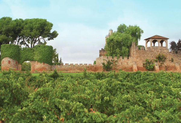 Why Cava is ‘undergoing an exciting renaissance’