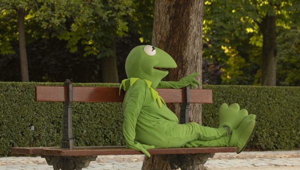 Portland restaurant offers ‘free beer for frogs’ this weekend amidst No Kings protests