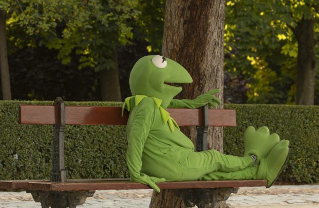 Portland restaurant offers ‘free beer for frogs’ this weekend amidst No Kings protests