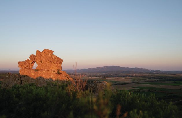 Languedoc ups its fine wine credentials