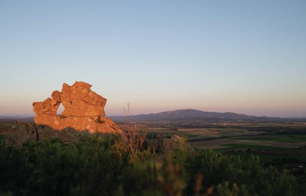 Languedoc ups its fine wine credentials