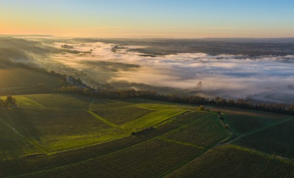 A new hotspot for trendy French wines emerges