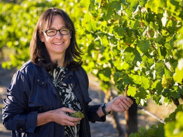 Yalumba: ‘New varieties are hard to sell, not hard to make’