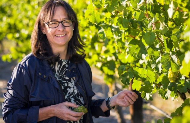 Yalumba: ‘New varieties are hard to sell, not hard to make’