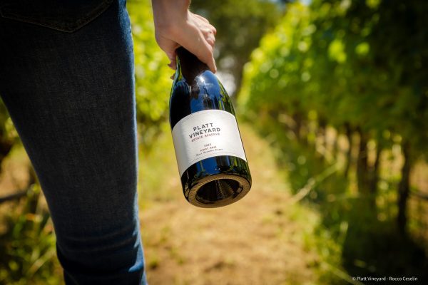 Platt Vineyard: ‘Not what you think of from California’