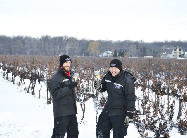 Ontario's Pillitteri Estates Winery taps Asian demand for ice wine