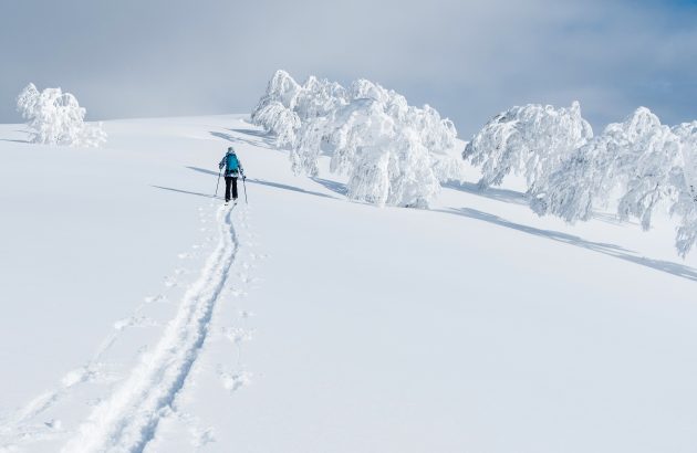Tokyo Confidential taps into booming Japanese ski tourism with new venue