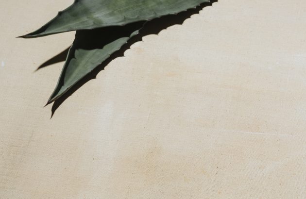 Becle profits soar nearly fivefold as peso drop boosts Tequila giant